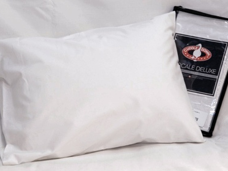 Down/Feather Travel Pillow & Pillowcase 