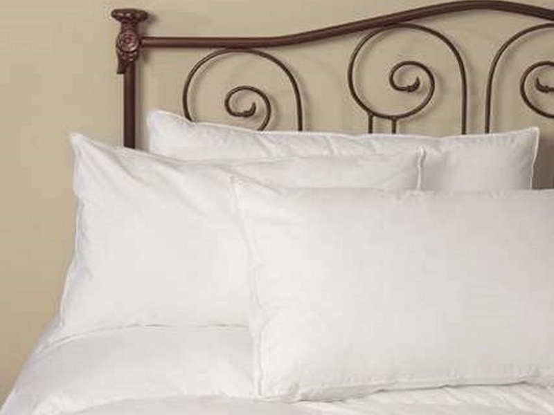 I Can't Believe This Isn't Down Pillow