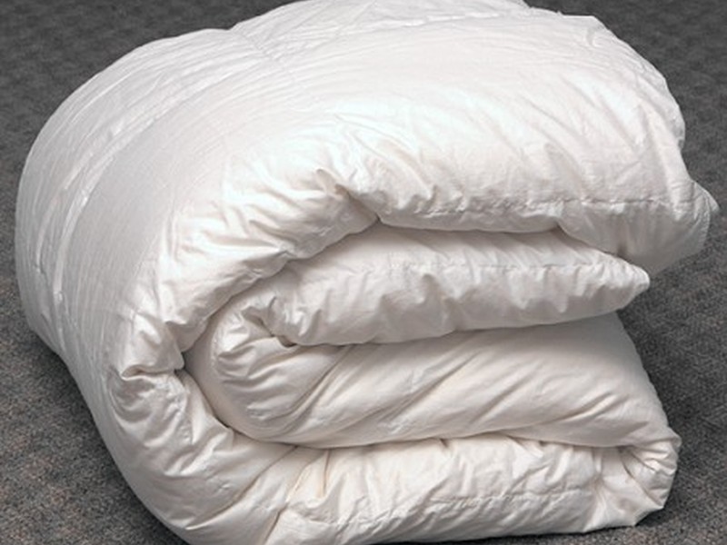 Canard Goose Feather Duvets